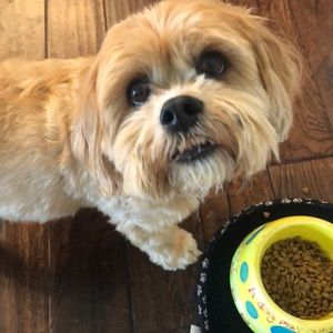 Meet your Posher, Rhonda